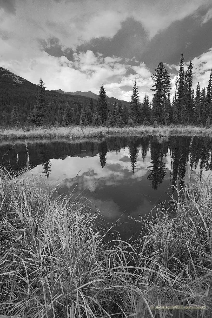 Beaver Ponds on the west side of Rocky Mountain National Park is a popular place to see Moose.  Unfortunately, none were sighted today. - Colorado Picture