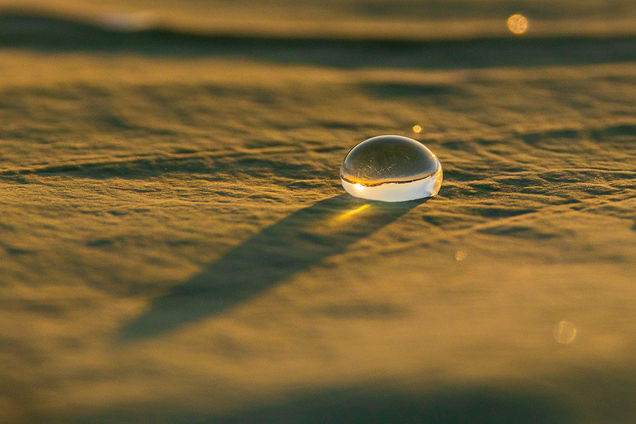 A nature photograph of a drop of rain on a lily pad at Shadow Lake, Nebraska. - Nebraska Picture