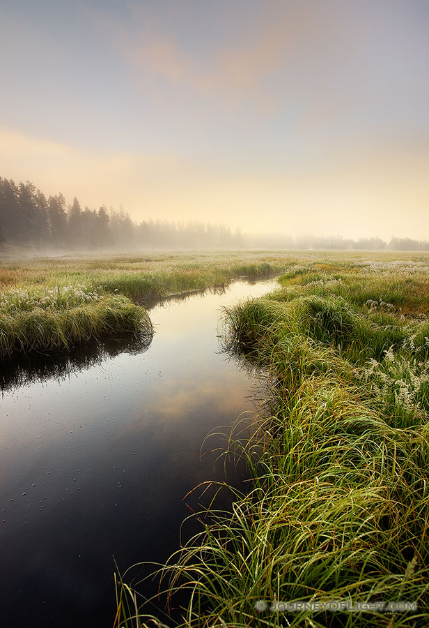A stream quietly flows through a meadow as the last of the morning fog is burned off from the rising sun. - Yellowstone National Park Photography