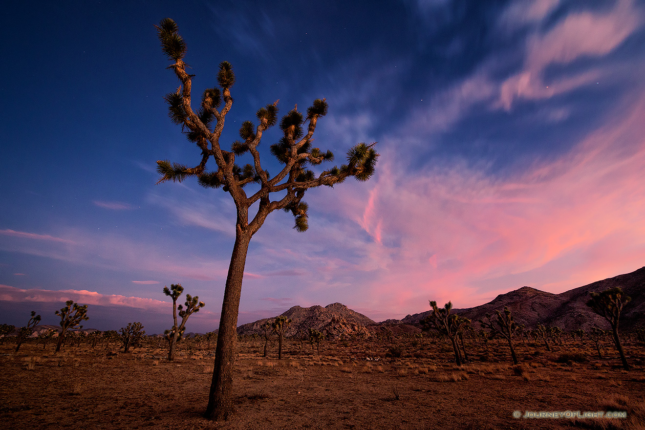 All around me was complete silence.  In this complete quiet the night slowly crept across the landscape and stars begin to appear as the clouds clear above Joshua Tree in Joshua Tree National Park, California. - State of California Picture