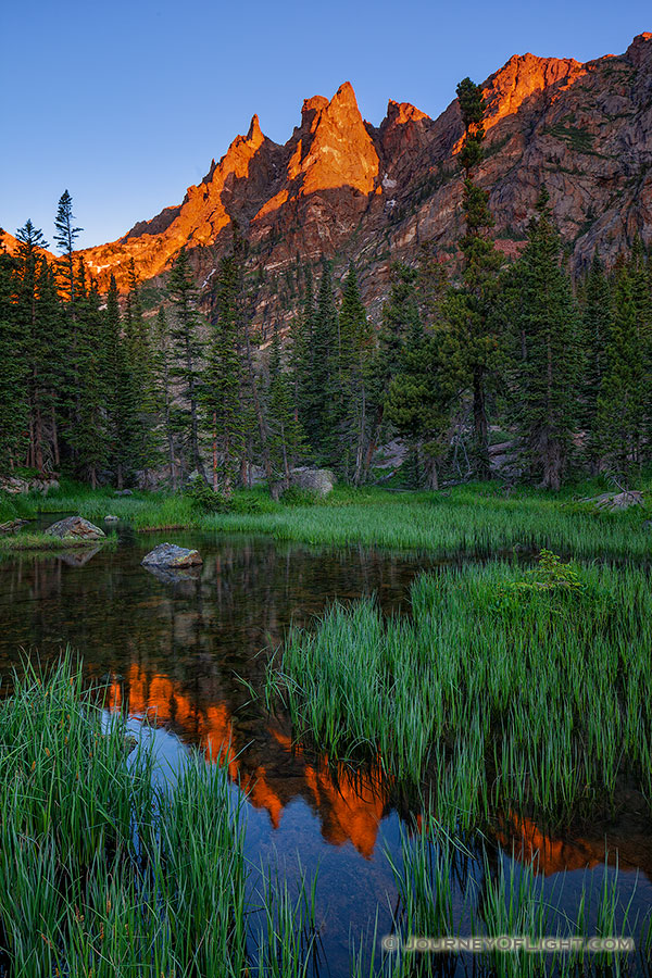 I've hiked several times to beautiful Emerald Lake in Rocky Mountain National Park.  On this excursion, I decided to go off the beaten path a bit and follow the stream that flows out of the lake.  I was rewarded with a beautiful sunrise on Flattop reflected in this verdant little marshy area. - Rocky Mountain NP Photography