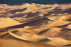 Sand dunes glow in the morning sun at Great Sand Dunes National Park, Colorado. - Colorado Landscape Photograph