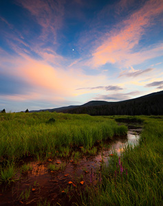 The Kawuneeche Valley is a marshy meadow area on the western side of Rocky Mountain National Park in Colorado. In the native Arapaho language Kawuneeche means valley of the coyote and indeed, many animals are found traveling through the valley. On this still July evening, there was a herd of elk that had quietly moved through and were eating on the trail. Not wanting to disturb them too much I kindly asked them to move as I slowly walked by. They obliged and I was on my way, as the last remnants of light illuminated the western edge of the clouds casting a dull glow across the meadow. - Colorado Photograph