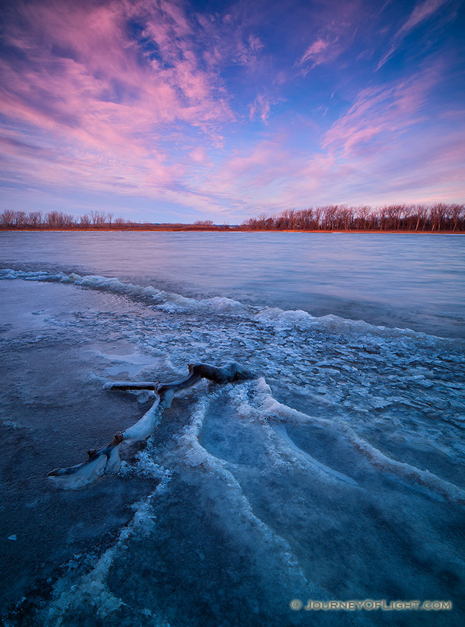 In early winter, sunrise hits the landscape illuminating the forming ice on the lake at DeSoto National Wildlife Refuge.   In late November, when I was showing at the Art of the Wild show at DeSoto National Wildlife Refuge, I arrived early, about a half hour before sunset and made my way down to the lake.  On this particularly cold day I setup my tripod and waited for the rising sun to illuminate the landscape.  In the few minutes before sunrise I quietly watched the activity all over the lake -  geese and ducks flew overhead and a single Bald Eagle made his way down the lake.  In the minute before sunrise it seemed that all the activity stopped briefly and the sun began to illuminate the far shore.  Then just as quickly as the activity had stopped, it started again and the ducks and geese flew into the morning light. - DeSoto Photography