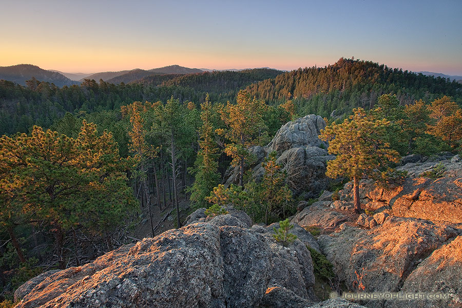 The Black Hills in South Dakota are known for their tall pine trees that cover the rolling hills. - South Dakota Photography