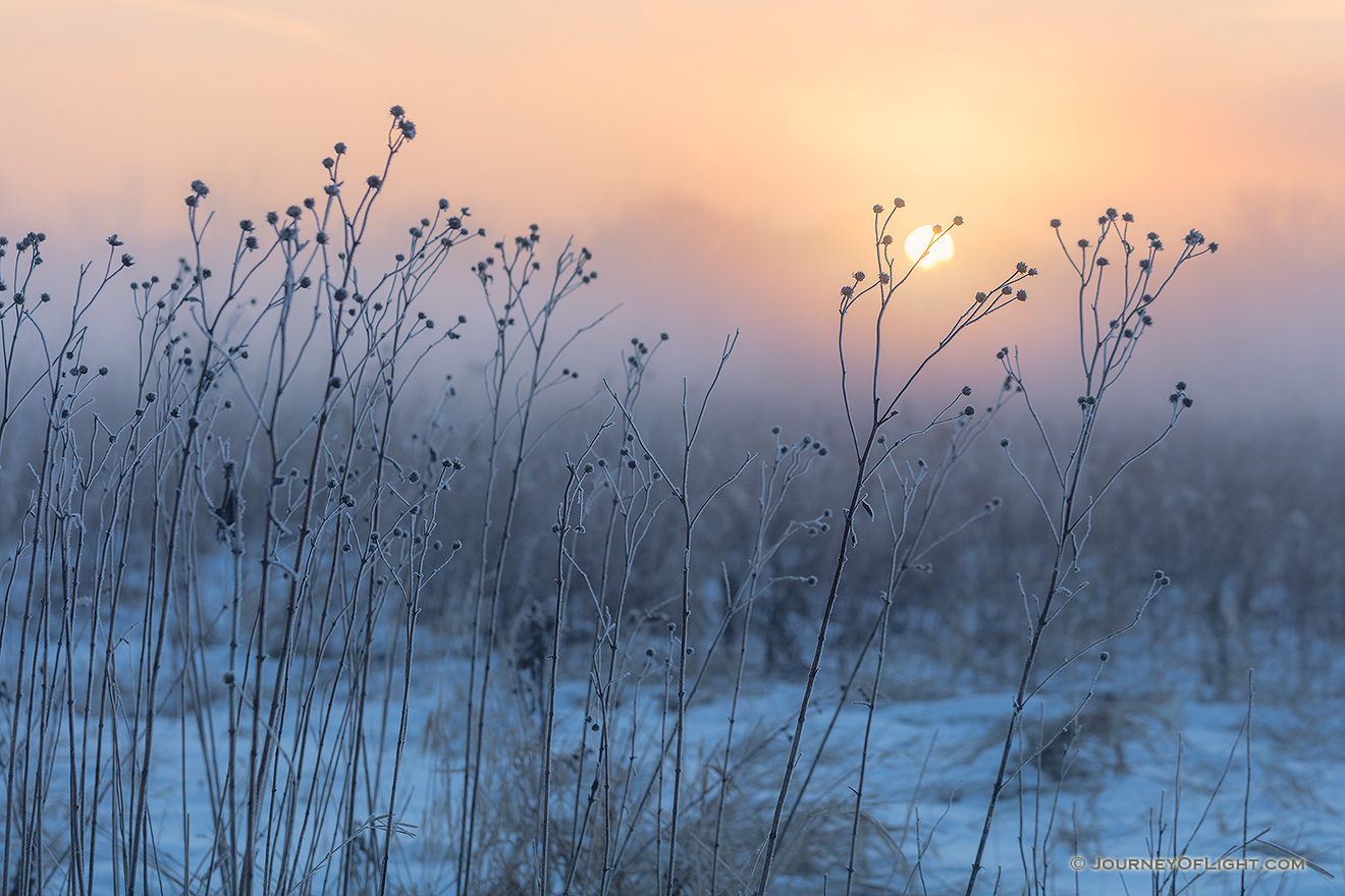 On a cold winter day, the sun illuminates the cold winter prairie at Boyer Chute National Wildlife Refuge in eastern Nebraska. - Boyer Chute Picture
