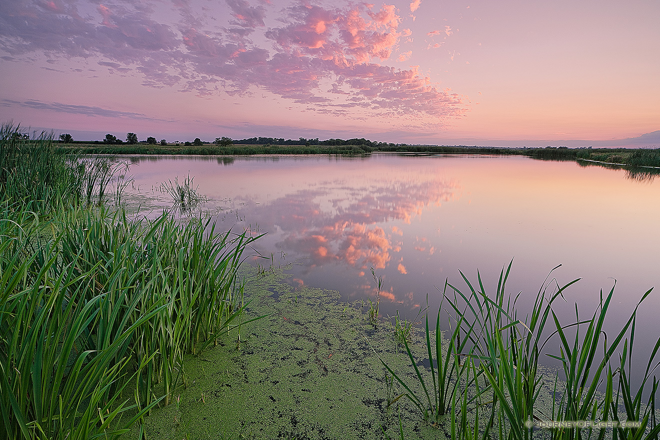 On a hot and humid summer evening, twilight descends over the salt creek marsh at Jack Sinn Wildlife Management Area. - Nebraska Picture