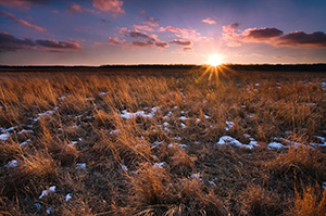 On a cold February day I visited the field of restored prairie grass at DeSoto National Wildlife Refuge for a sunset shot as the sun hit the horizon. - Nebraska Photograph