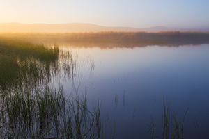The glow of the morning sun illuminates a small pond in Crescent Lake National Wildlife Refuge in western Nebraska. - Nebraska Landscape Photograph