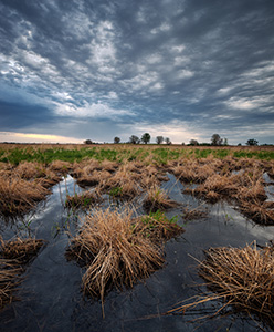 Clouds roll in and obscure the sun at Jack Sinn Wildlife Management Area. - Nebraska Photograph