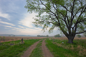 For some the Great Plains are synonymous with desolation, loneliness.  They avoid this land, but when they cant they pass through as fast as they can without even a glance.  For others the Great Plains are synonymous with solitude, soul-searching.  Those individuals embrace this land and find the sublime in the unending horizon and limitless sky.  They find comfort in the sound of prairie grass swaying in the breeze where others only find silence. - Nebraska Sandhills Photograph