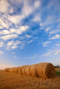 Puffy clouds form in the late evening above a row of hay bales in eastern Nebraska. - Nebraska Landscape Photograph