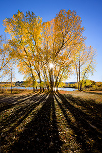 A Nebraska scenic landscape photograph of autumn trees and sunlight at Fort Robinson State Park. - Nebraska Photograph