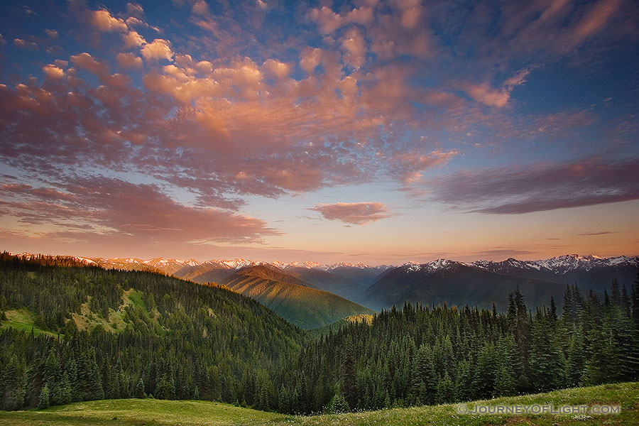 The Olympic Mountain Range in Olympic National Park from Hurricane Ridge.  Designated a 95% wilderness, Olympic National Park is located on the Olympic Pennisula in Washington state. - Pacific Northwest Photography