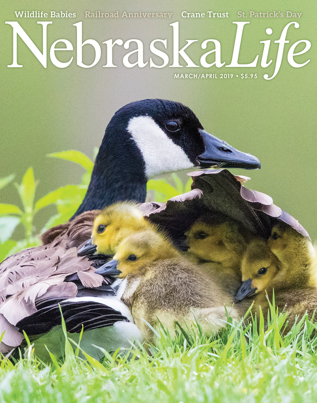 Nebraska Life - March/April 2019 - Nebraska Life Cover -  Picture