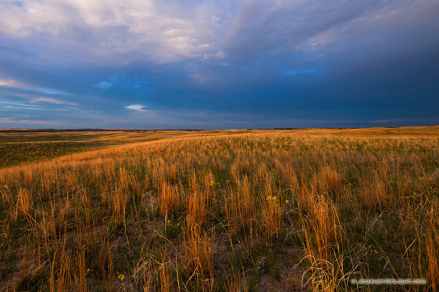 Trip Report 3: Journey into the Sandhills – Images of a Western ...