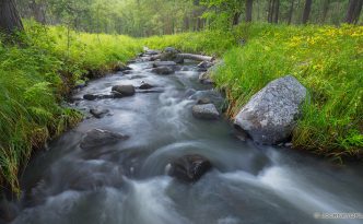 Black Hills Cascades