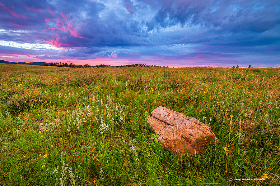 A scenic landscape photograph of a sunset and the prairie at Custer State Park, South Dakota. - South Dakota Photography