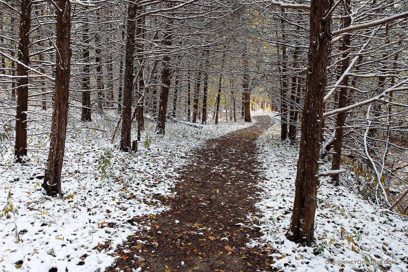 A recent snow covers the ground and a path snakes through a forest at Schramm State Recreation Area. - Nebraska Picture