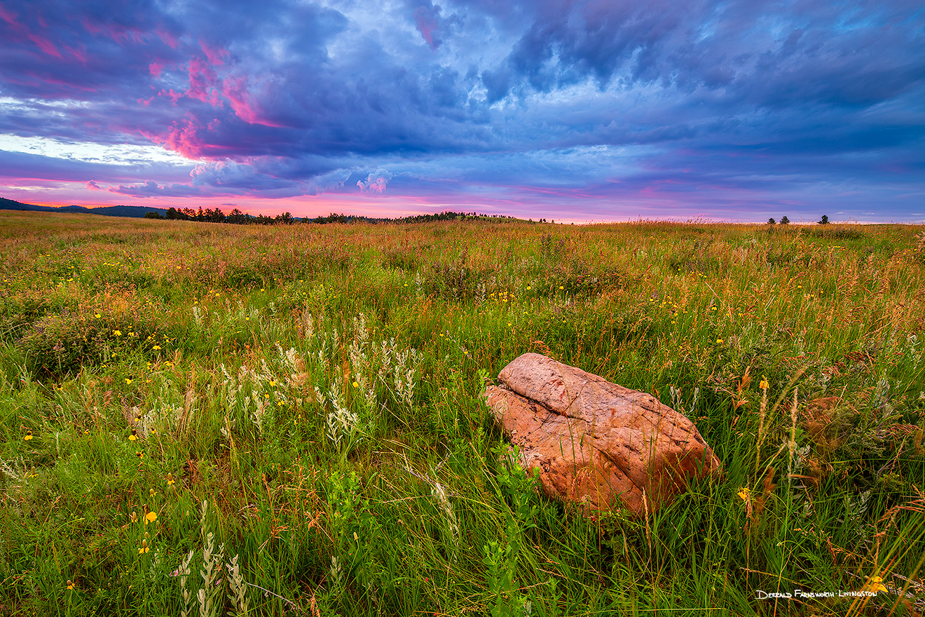 A scenic landscape photograph of a sunset and the prairie at Custer State Park, South Dakota. - South Dakota Picture